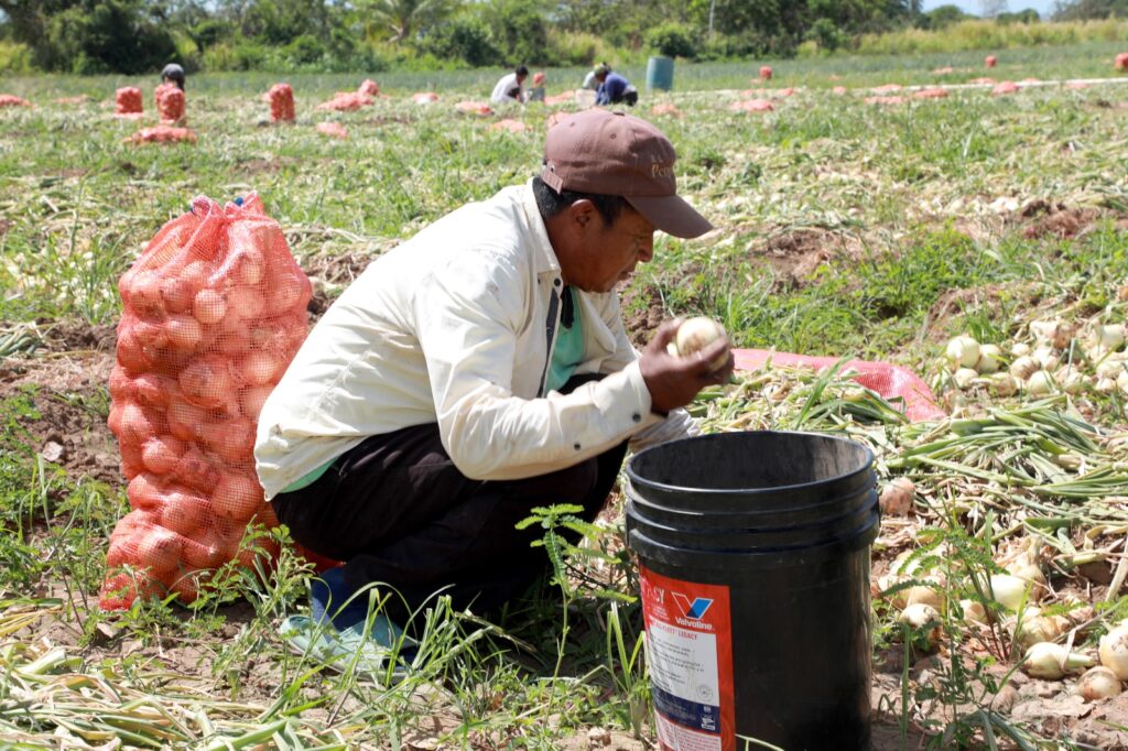 WhatsApp Image 2026 04 21 at 7.24.57 PM 1