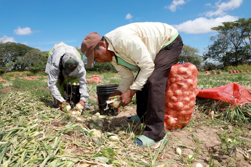 WhatsApp Image 2026 04 21 at 7.24.57 PM