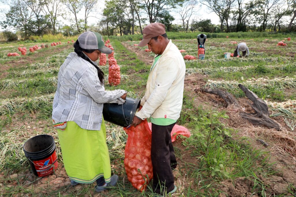 WhatsApp Image 2026 04 21 at 7.24.57 PM 2