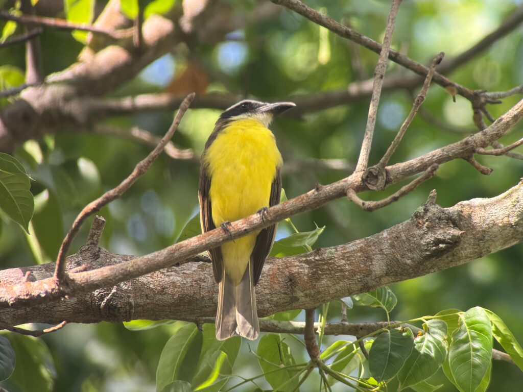 WhatsApp Image 2026 04 22 at 3.34.28 PM 1