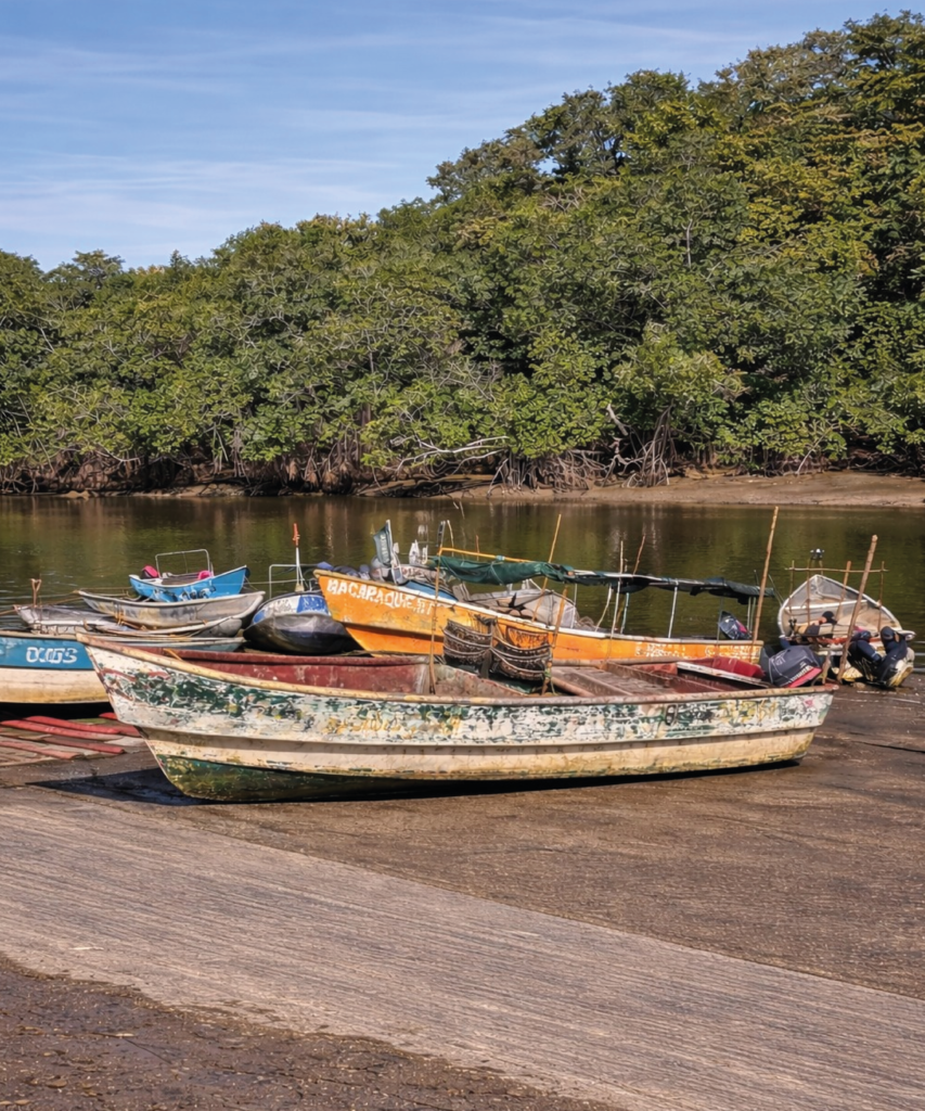 RECINTOS PORTUARIOS3