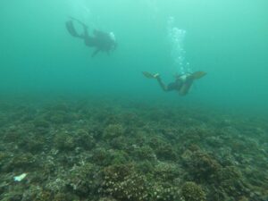 Parque Nacional Marino Golfo de Chiriquí: 32 años resguardando un santuario de vida en el Pacífico panameño