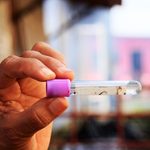 Dengue baja 20.0 % en Panamá, pero Minsa llama a no bajar la guardia