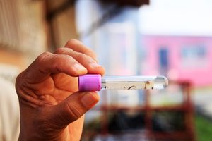 Dengue baja 20.0 % en Panamá, pero Minsa llama a no bajar la guardia
