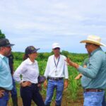 ISA verifica en campo contingencias en parcelas de maíz aseguradas en Los Santos
